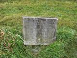 image of grave number 40013